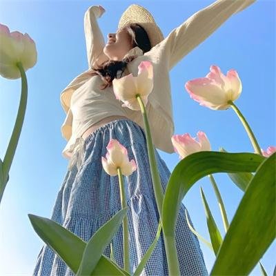 凤鸣怪谈